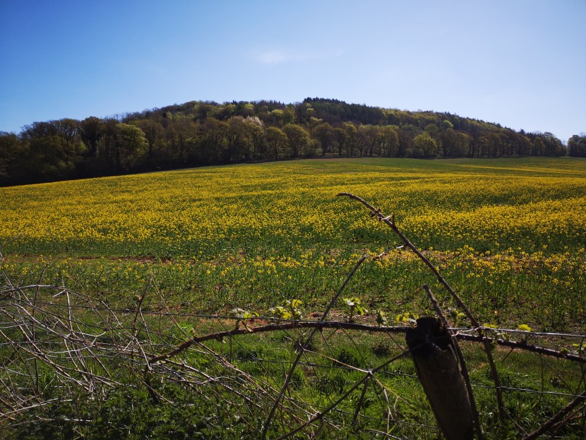 Hadnock Hill, above the lower Wye